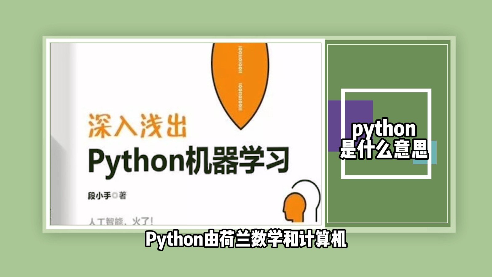 python是什么意思？