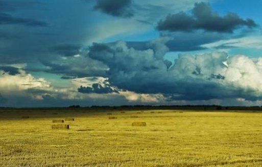 乌克兰多大面积和人口是多少？