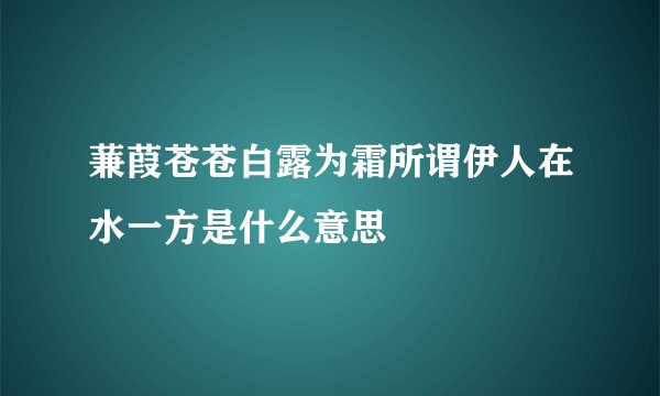 蒹葭苍苍白露为霜所谓伊人在水一方是什么意思