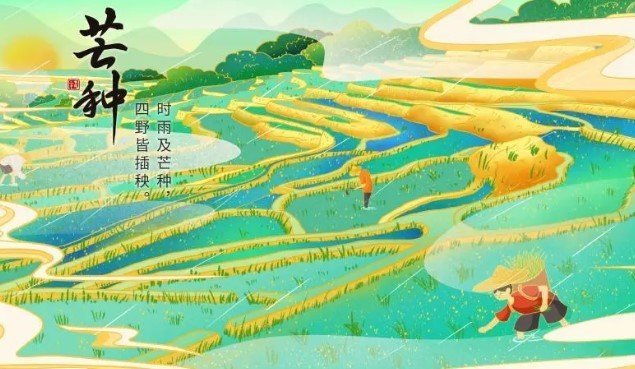 芒种这个称呼的由来是怎样的？