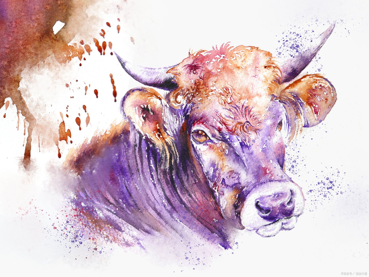 不撞南墙不回头，只有失败才能正视错误的生肖有哪些？