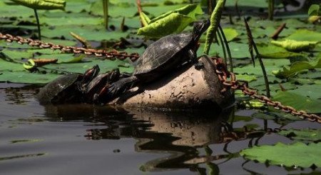 成语鼎力相助一般常用于