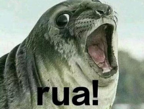 rua是什么意思？