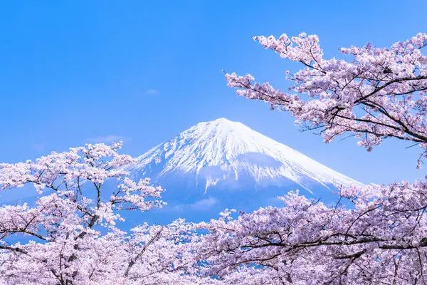 日本有多大面积,相当中国哪个省？