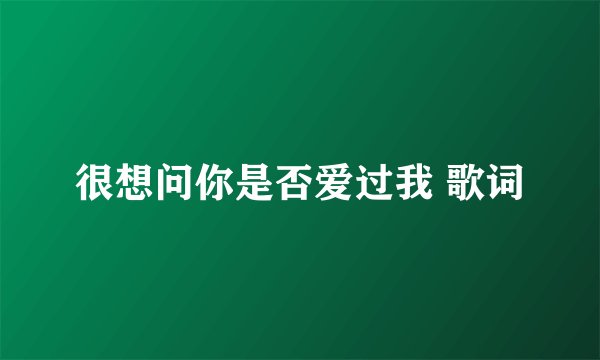 很想问你是否爱过我 歌词