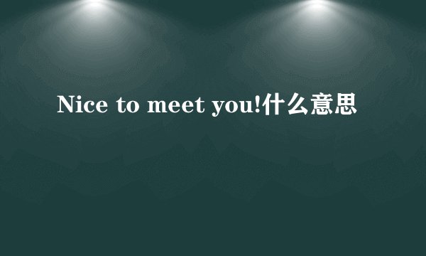 Nice to meet you!什么意思
