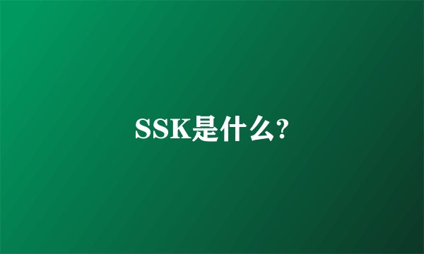 SSK是什么?