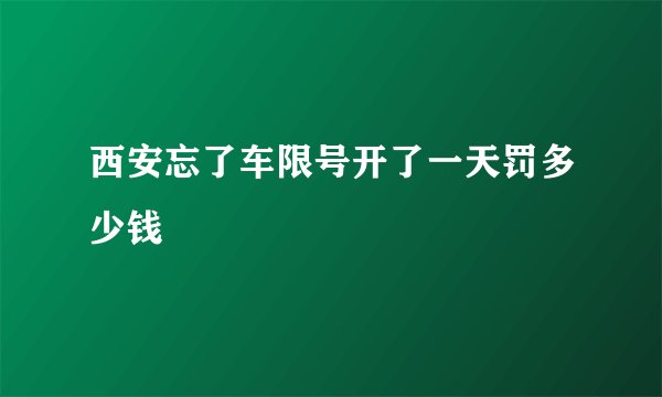西安忘了车限号开了一天罚多少钱