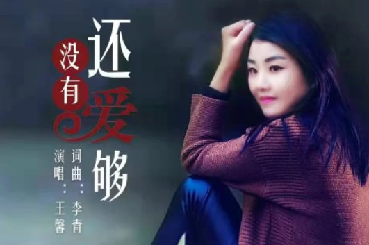 你说大雁南飞后和我一起走是什么歌？