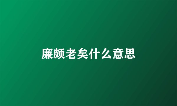 廉颇老矣什么意思