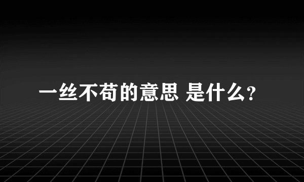 一丝不苟的意思 是什么？