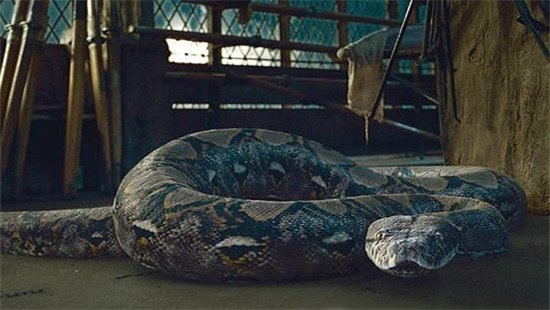 哈利波特里的七个魂器都是什么？