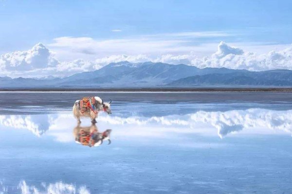 天空之境指的是哪里?