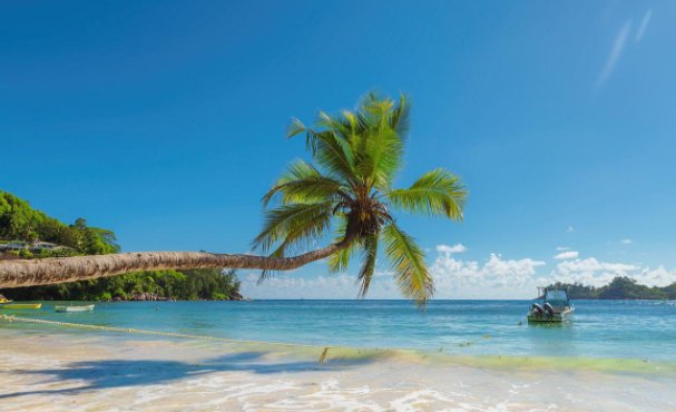 风物长宜放眼量的意思是什么？