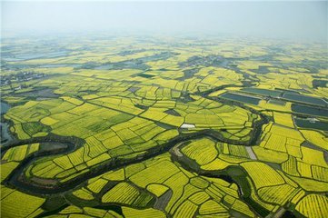 一亩等于多少平方米？