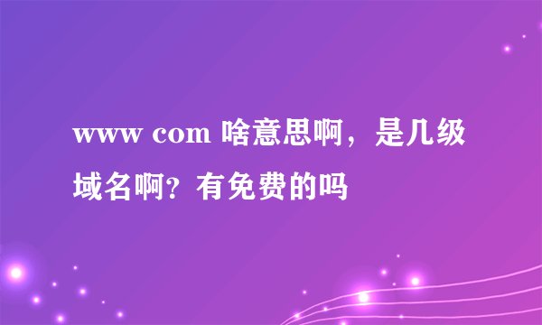 www com 啥意思啊，是几级域名啊？有免费的吗