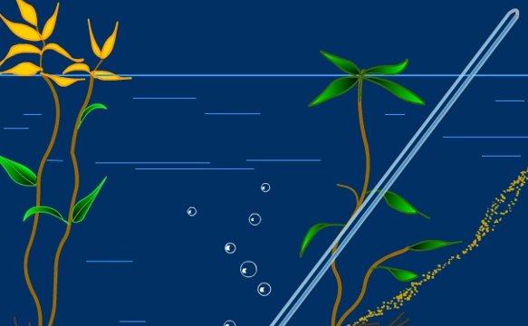 甲烷密度是多少?