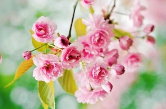 一个人心太软到底是好还是坏