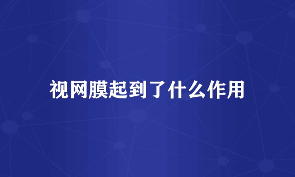 视网膜起到了什么作用