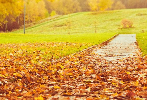 想象一下,秋天的雨还会把颜色分给谁呢?照样子写一写?