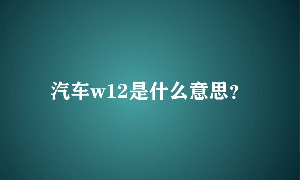 汽车w12是什么意思？