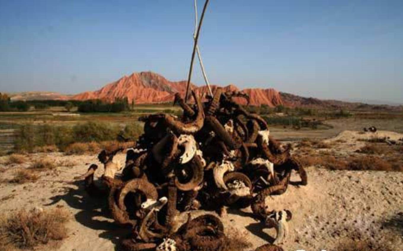 萨满教是怎样的？为何说它凌驾于所有宗教之上？