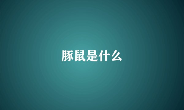 豚鼠是什么