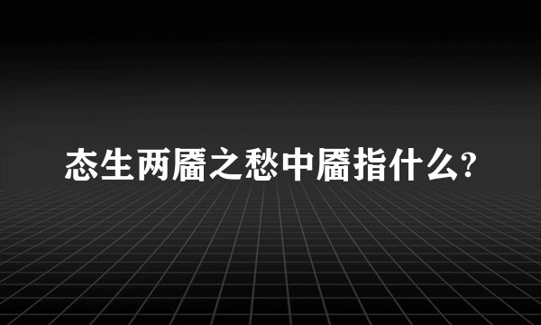 态生两靥之愁中靥指什么?