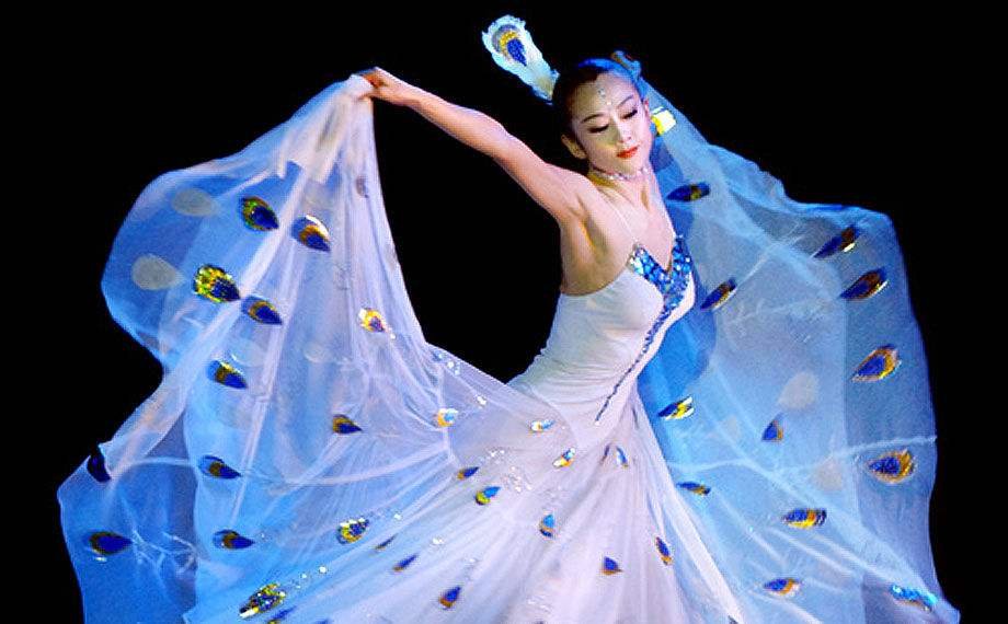 杨丽萍简介，故事