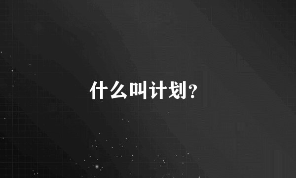 什么叫计划？