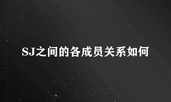 SJ之间的各成员关系如何