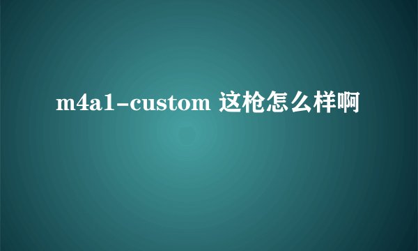 m4a1-custom 这枪怎么样啊