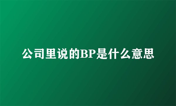 公司里说的BP是什么意思