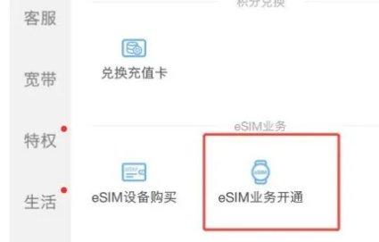 esim卡怎么办理