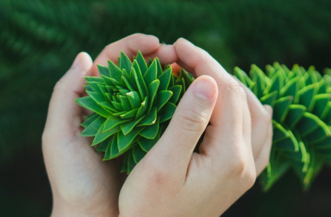 手字拼音怎么打