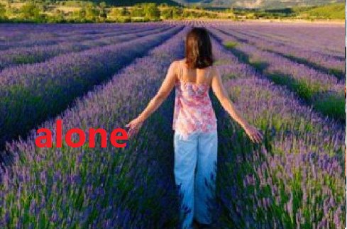 alone和lonely有什么区别？？怎么用