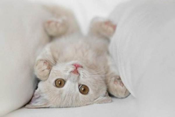 nnn是神马意思？