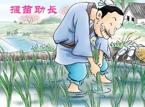 “揠苗助长”是什么意思