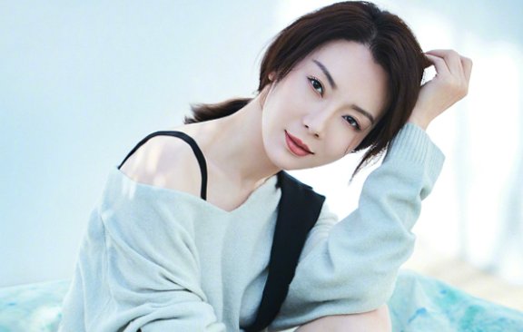 陈数的个人简介如何？