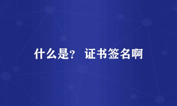 什么是？ 证书签名啊