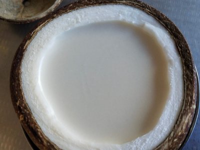 椰子壳可以做什么?