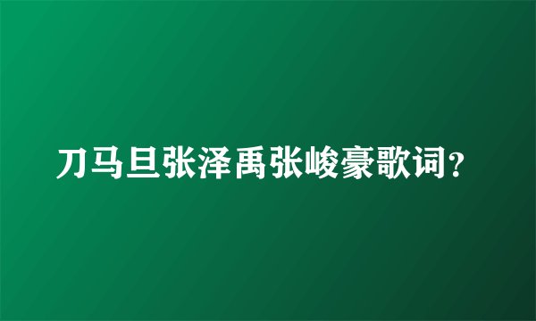刀马旦张泽禹张峻豪歌词？