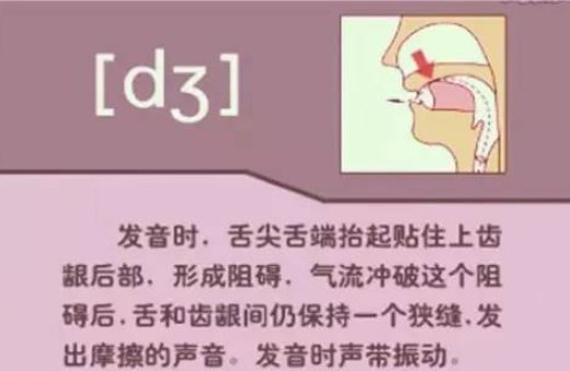 清辅音和浊辅音的区别是什么？