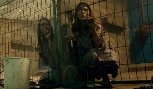 牧群是真实的吗