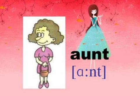 aunt怎么读语音？