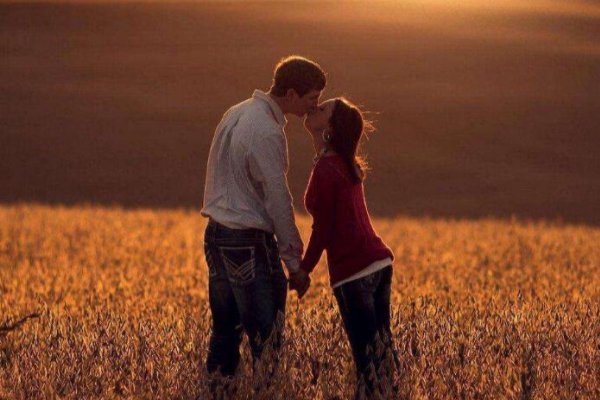 redamancy是什么意思？