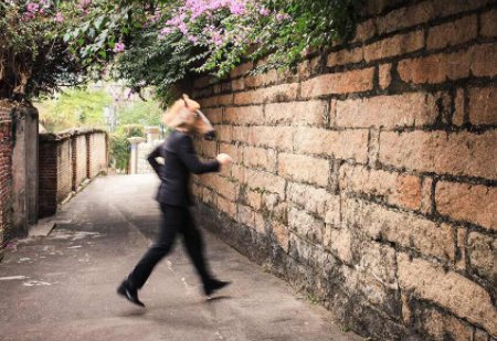 “不撞南墙不回头” 是什么意思?