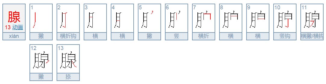 腺的拼音是什么