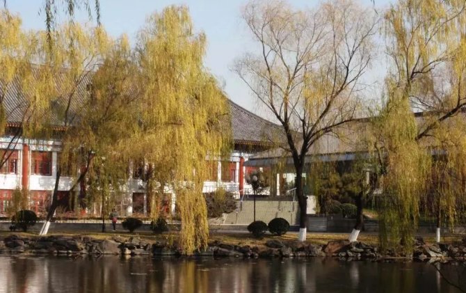 燕园树寻阅读题作者给我们介绍了燕园的哪些树木