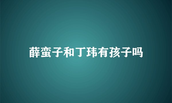 薛蛮子和丁玮有孩子吗